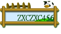 ZXCZXC456