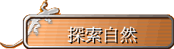 ۵M