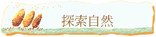 ۵M