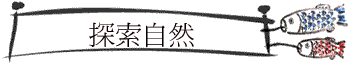 ۵M