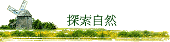 ۵M