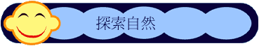 ۵M