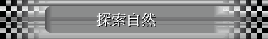 ۵M