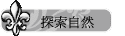 ۵M