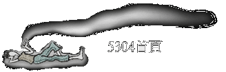 5304