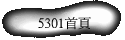 5301