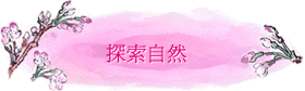 ۵M