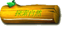 ۵M