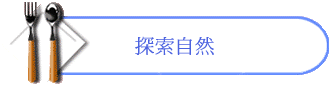 ۵M