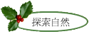 ۵M