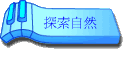 ۵M