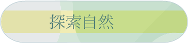 ۵M
