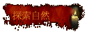 ۵M