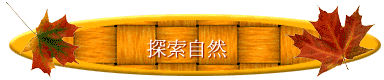 ۵M