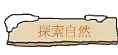 ۵M