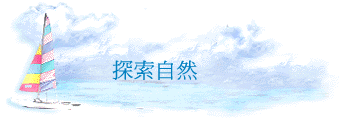 ۵M