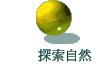 ۵M
