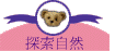 ۵M