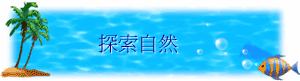 ۵M