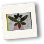 art02.jpg