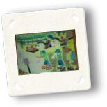 art06.jpg