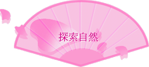 ۵M