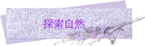 ۵M