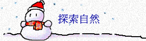 ۵M