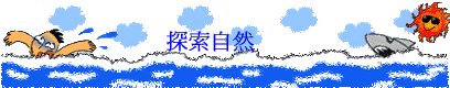 ۵M
