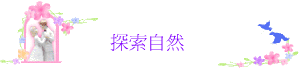۵M