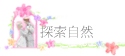 ۵M
