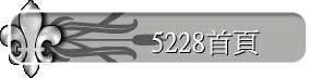 5228