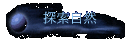 ۵M