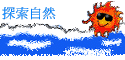 ۵M