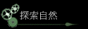 ۵M