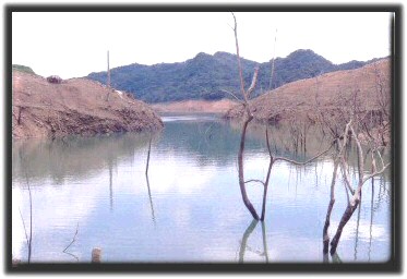 �B�A���w�\���������H