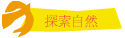 ۵M