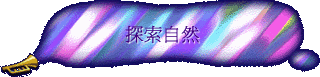 ۵M