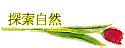 ۵M