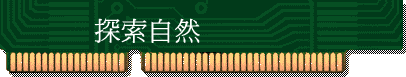 ۵M