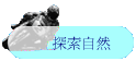 ۵M