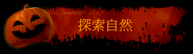 ۵M