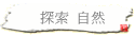  ۵M