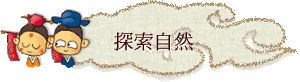 ۵M