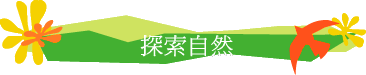 ۵M