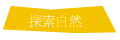 ۵M