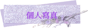 個人寫真