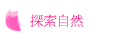 ۵M