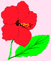 img4.gif