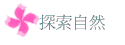 ۵M